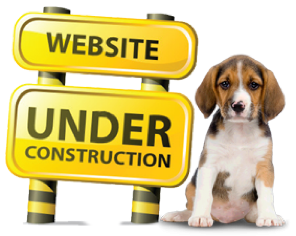 Website Updating
