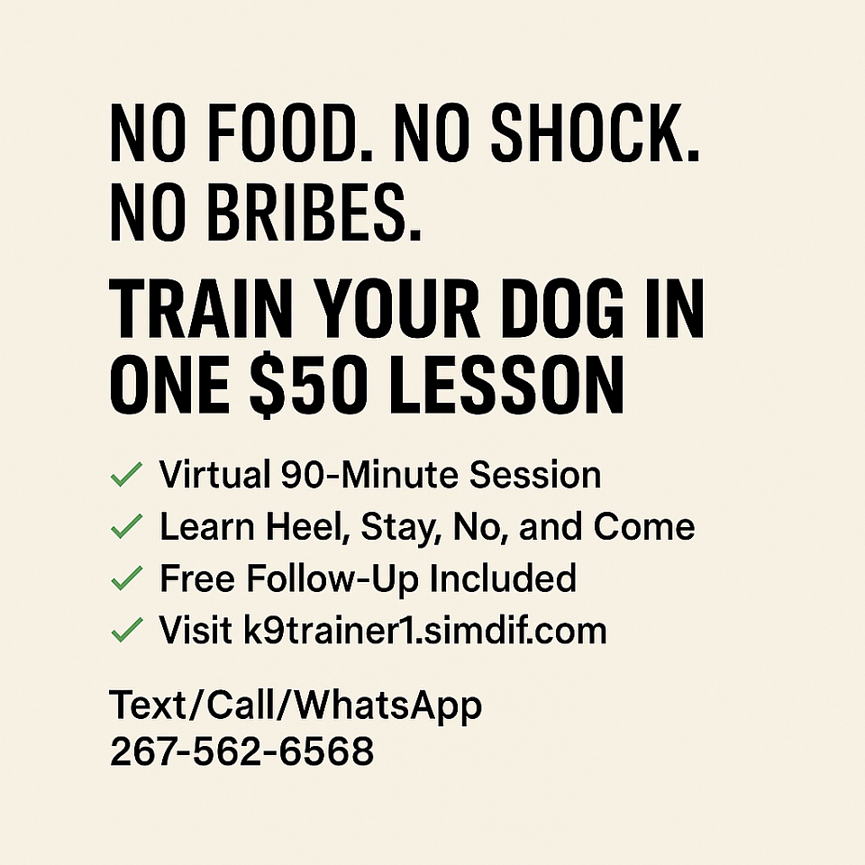 Virtual Lesson $50