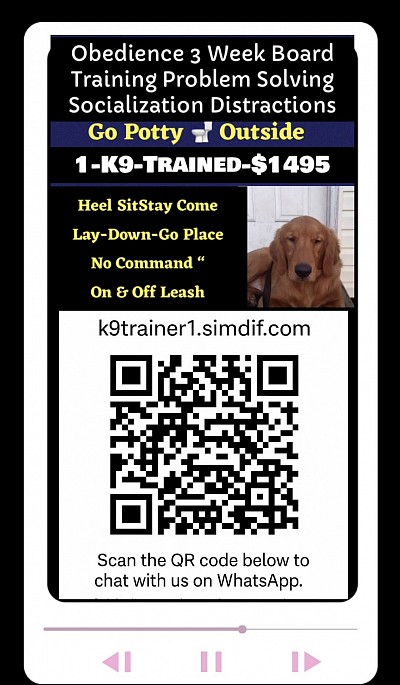K9 Trainer 1