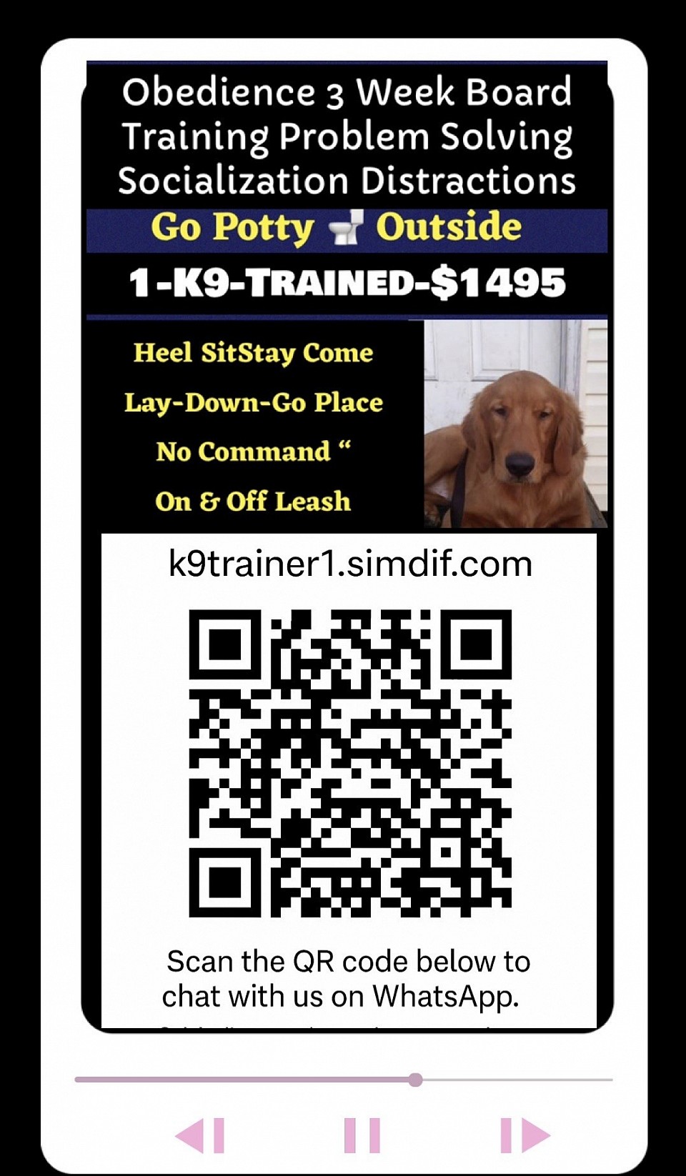Obedience 21-Day Board Training