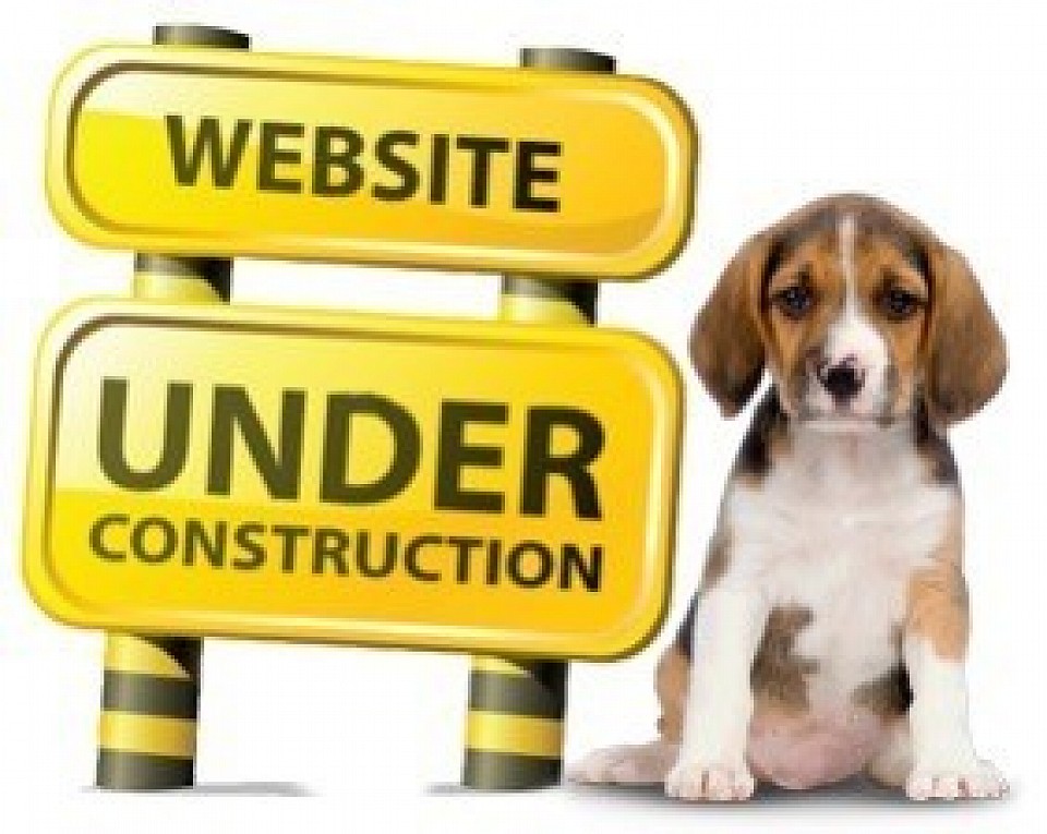 Website Updating 05-2025